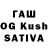 APVP СК Saski Kun