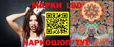 ALPHA PVP Гай