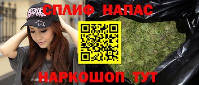 ALPHA PVP Гатчина