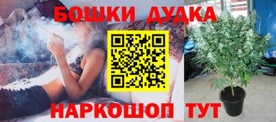 ALPHA PVP Гай