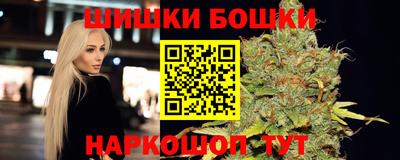 ALPHA PVP Гай
