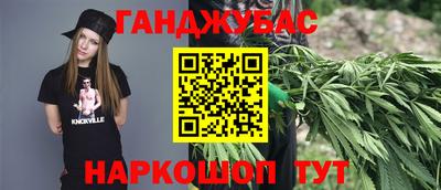 ALPHA PVP Гатчина