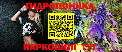 ALPHA PVP Гатчина