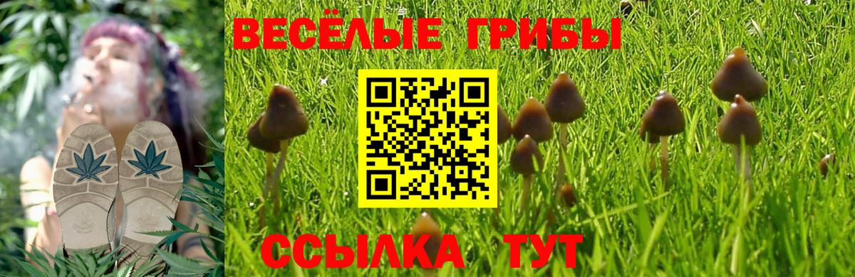 ГАШИШ  Острогожск  Alpha-PVP СК   Каннабис  Вход с VPN  Меф МЯУ МЯУ   КОКАИН  ГАШИШ  LSD-25 