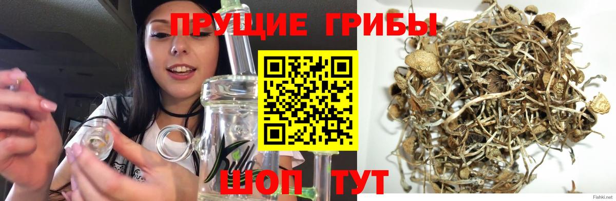 Острогожск  Галлюциногенные грибы MAGIC MUSHROOMS  Вход с VPN 