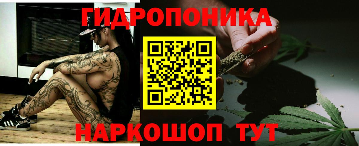 Бошки Шишки тримм  Шишки марихуана OG Kush  Вход с VPN  Каннабис индика  Острогожск 